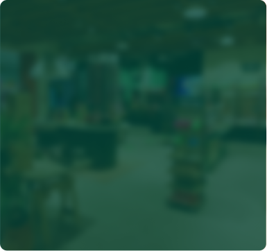 tbs store 1.png